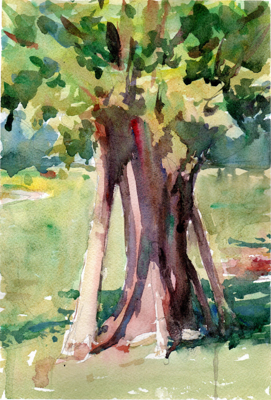 Resting Branches