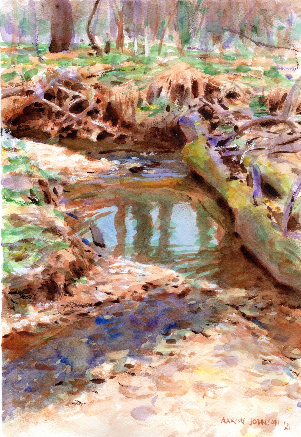 House Creek Reflection